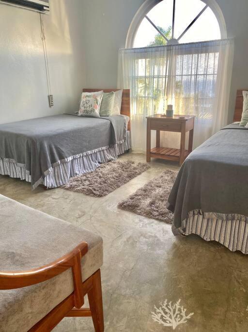 Coastal Beauty - Beautiful Penthouse Condo In Ocho Rios Zewnętrze zdjęcie